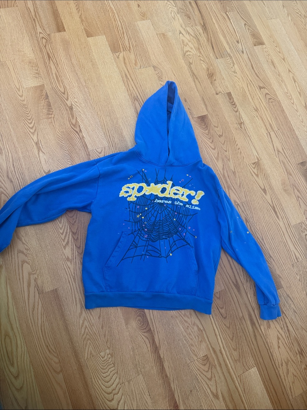 Men Blue Spider Graphic Hoodie SP*DER BRAND REAL
